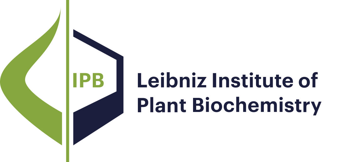 Logo Leibniz-Institut für Pflanzenbiochemie